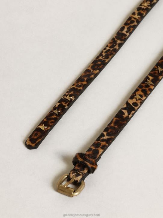 mujer cinturón molly de piel de potro con estampado de leopardo negro y marrón y tachuelas en forma de estrellaGolden Goose 02H6308