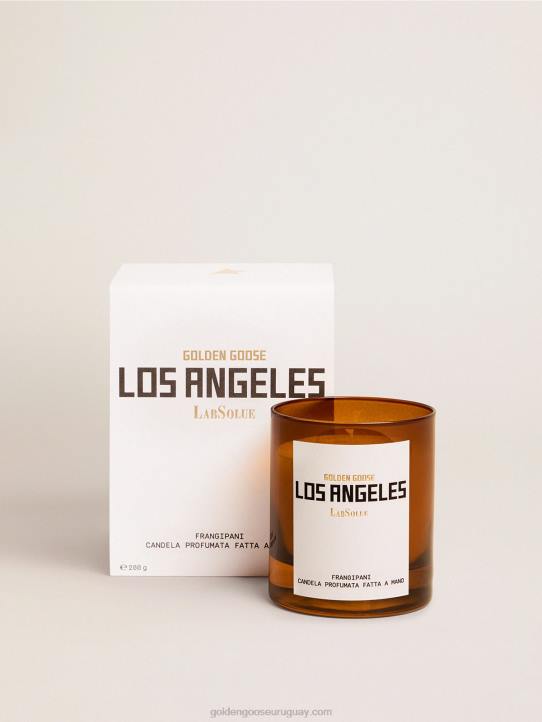 mujer vela perfumada esencia frangipane los angeles 200 gGolden Goose 02H6500