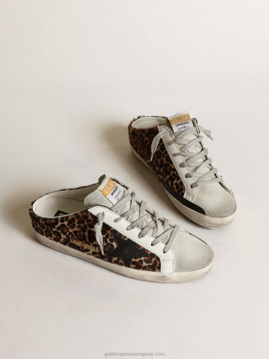 mujer zuecos super-star de piel de potro con estampado de leopardo, estrella de cuero negro y lengüeta de ante gris hieloGolden Goose 02H615