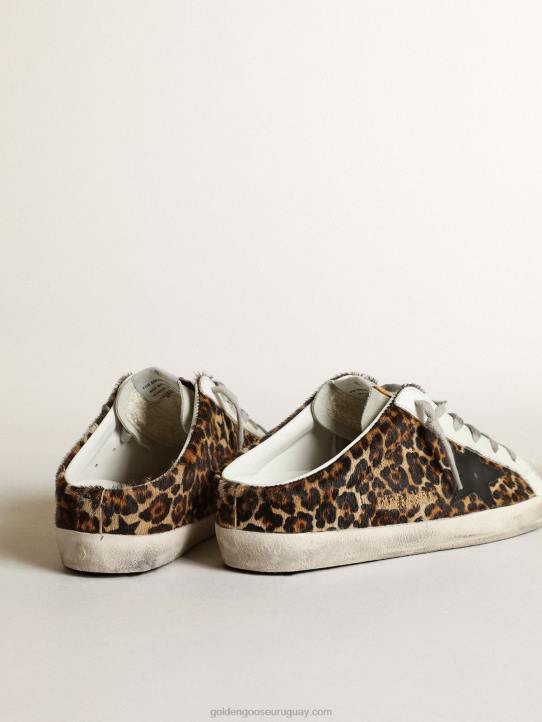 mujer zuecos super-star de piel de potro con estampado de leopardo, estrella de cuero negro y lengüeta de ante gris hieloGolden Goose 02H615