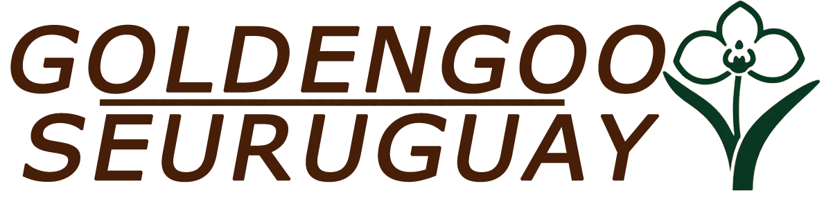 Goldengooseuruguay
